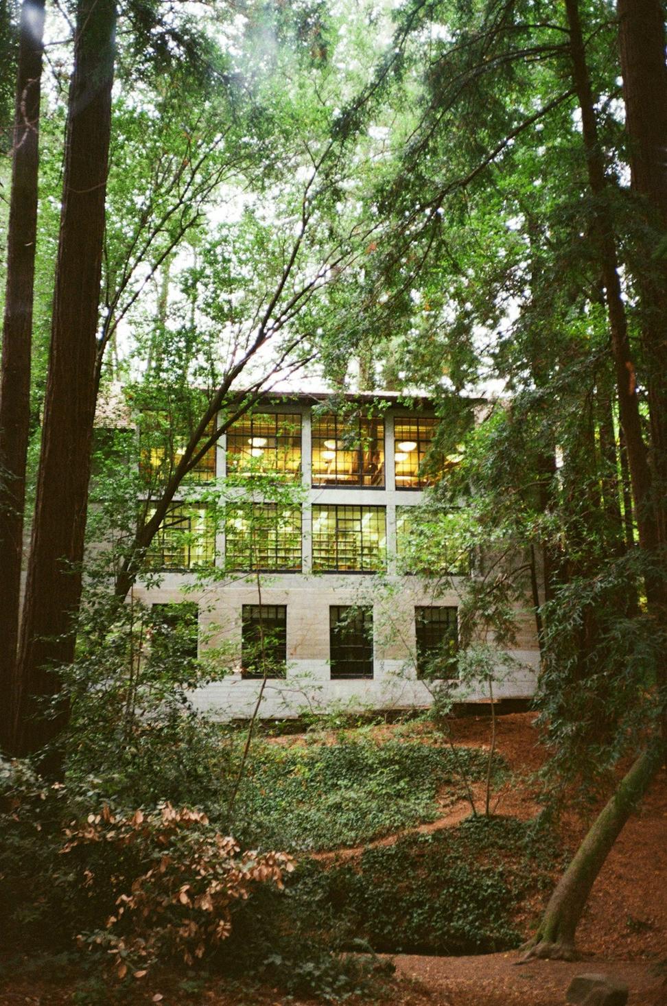Forest Cabin Retreat
