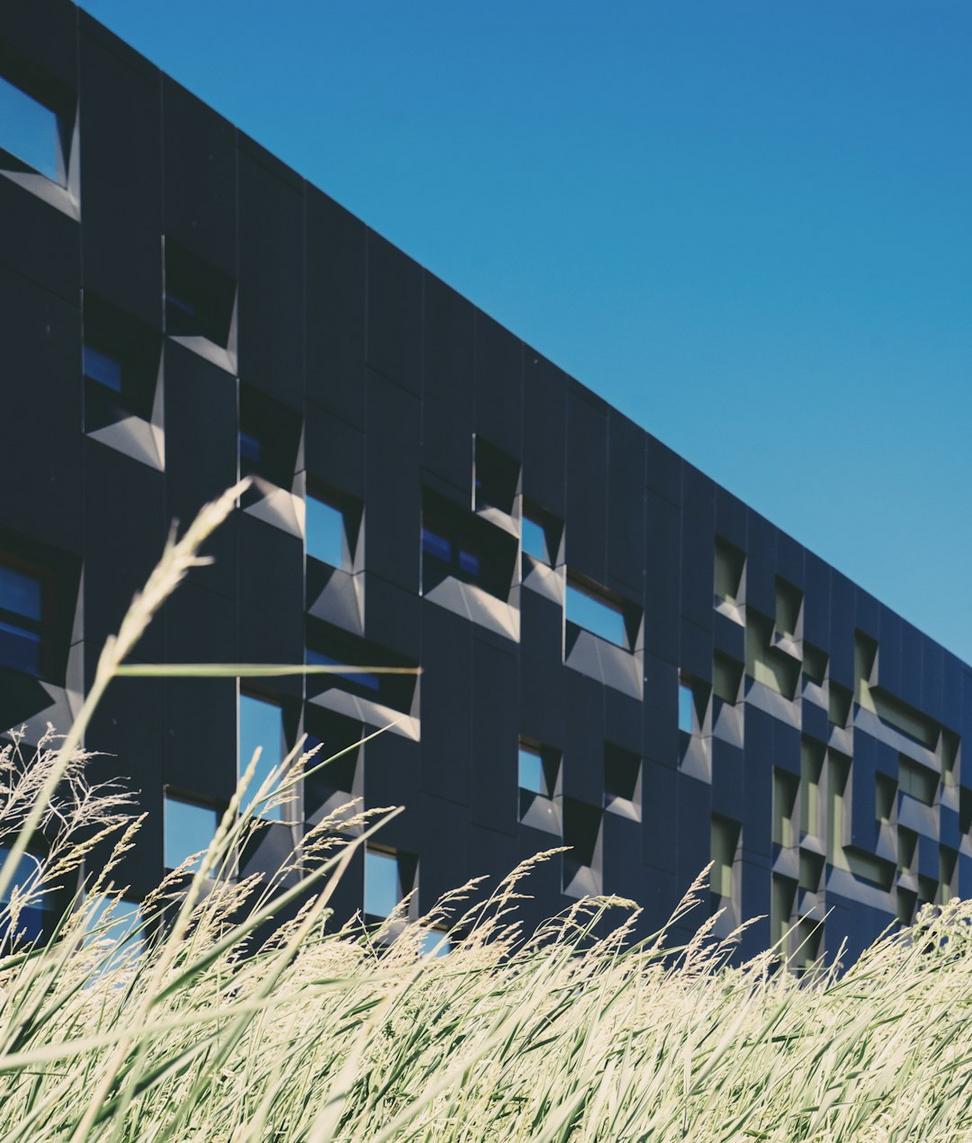 Green roof detail